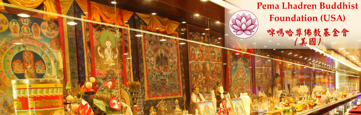 Our Videos and Multimedia Publications